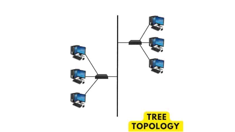 ट्री टोपोलॉजी (Tree Topology)