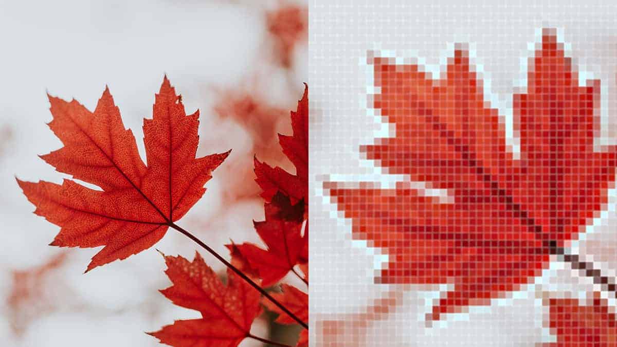 बिटमैप क्या है? और इसके उपयोग