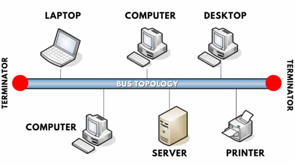 Bus Topology Diagram - बस टोपोलॉजी का चित्र