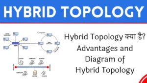 Hybrid Topology क्या है? इसके Advantages और hybrid topology diagram
