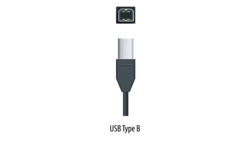 USB Type B Connector